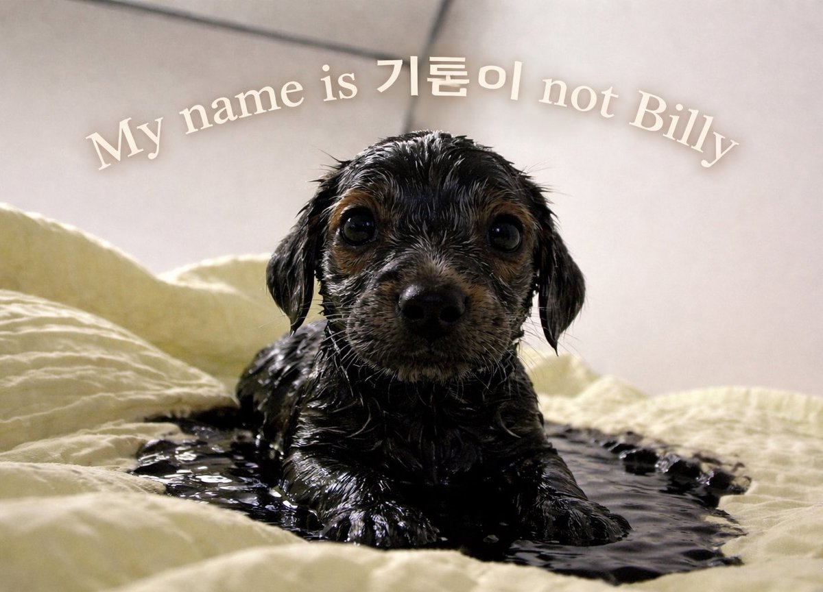 roundtripjani tweet media