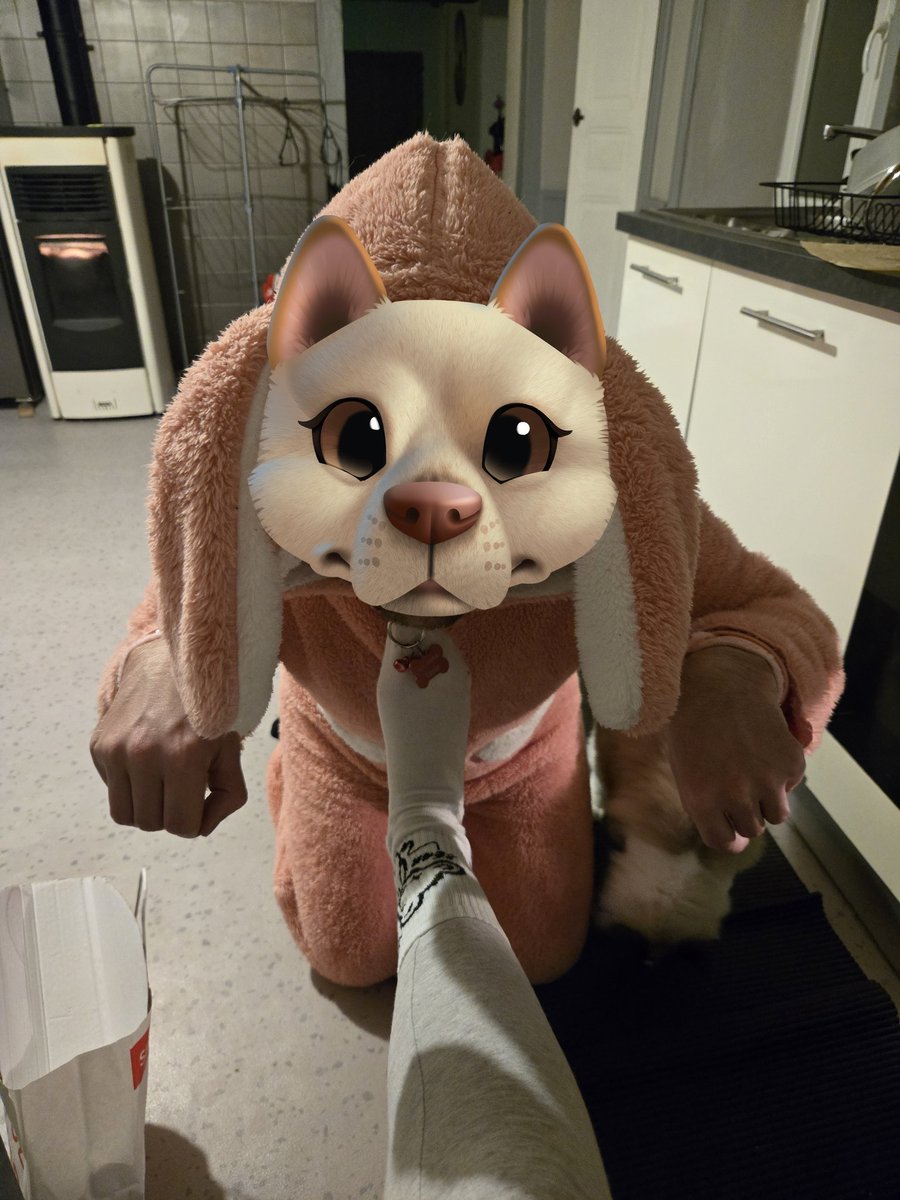 Pieds de diablesse tweet media