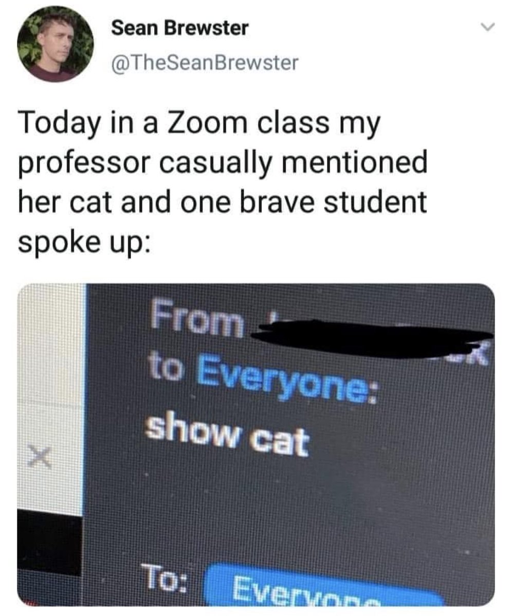 Respectful Memes (@respectfulmemes) on Twitter photo 