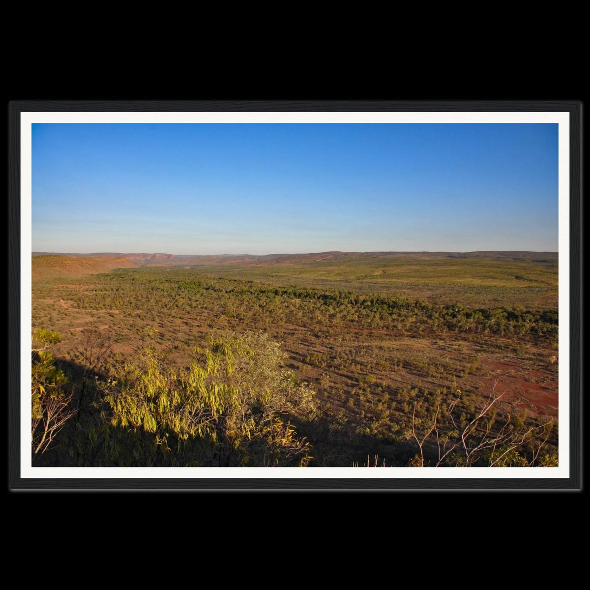 2fbphotos's tweet photo. Late-afternoon light across El Questro from Buddy’s Lookout—warm ochres, eucalyptus greens, and a cobalt sky.

#ElQuestro #KimberleyLandscape #WesternAustralia #AustralianOutback #AustralianLandscape #NaturePhotography #GoldenHour #2fb
https://t.co/6HBFcN0THg https://t.co/EEyrCS9GBr