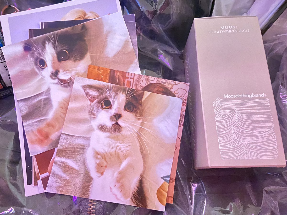 老婆餅🍪 tweet media