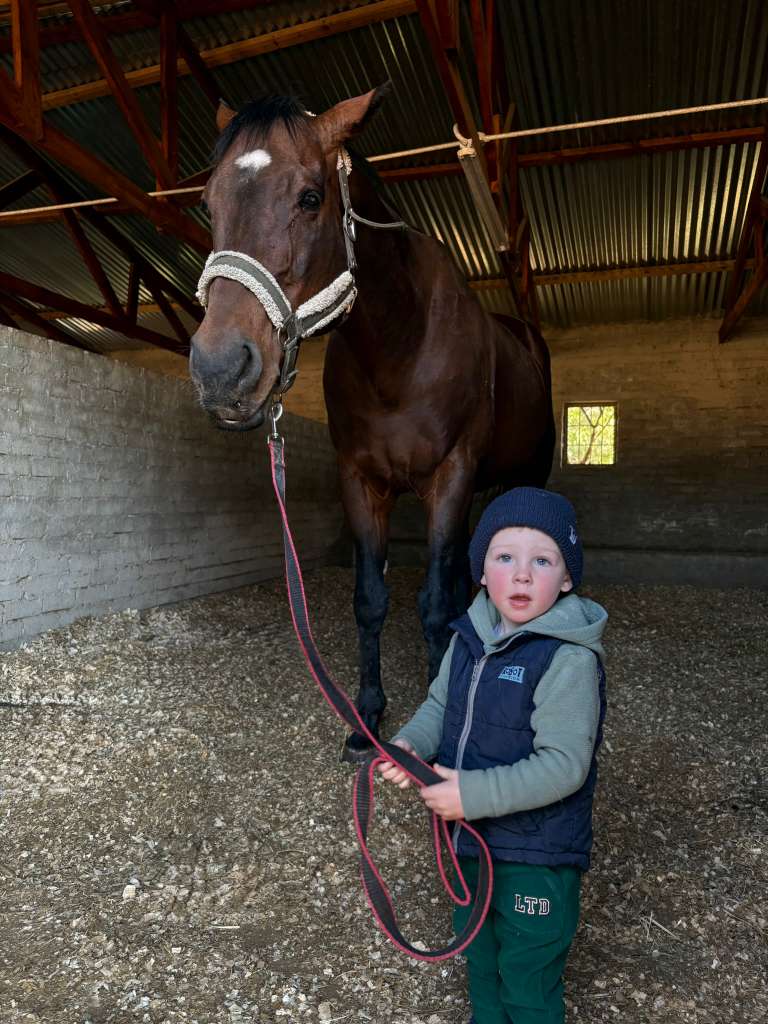 Heversham Park tweet media
