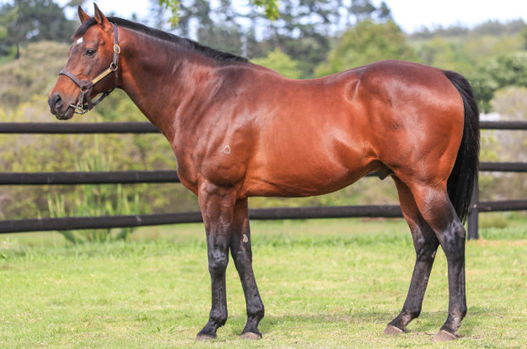 Heversham Park tweet media