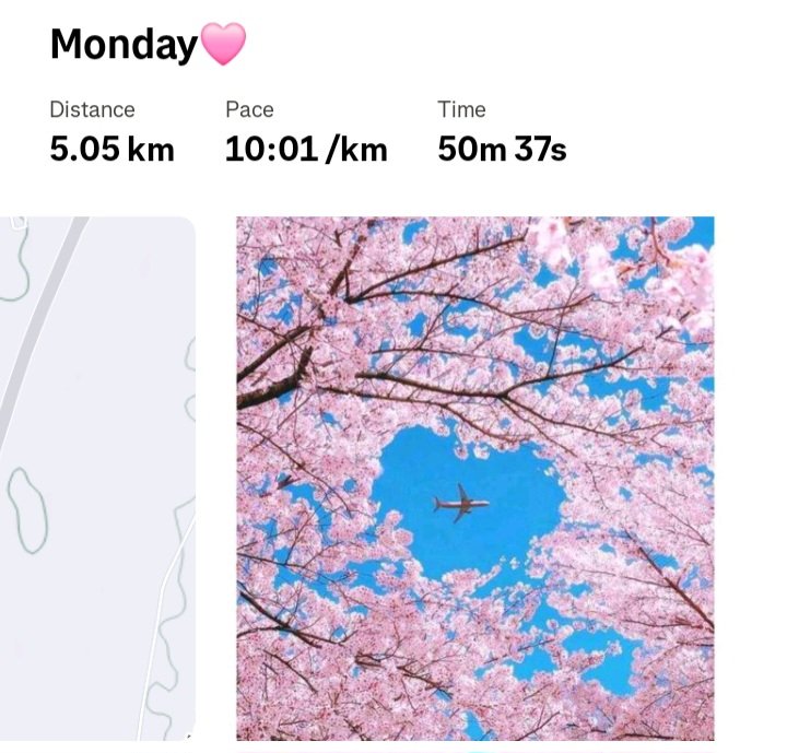 Thobile Dlamini tweet media