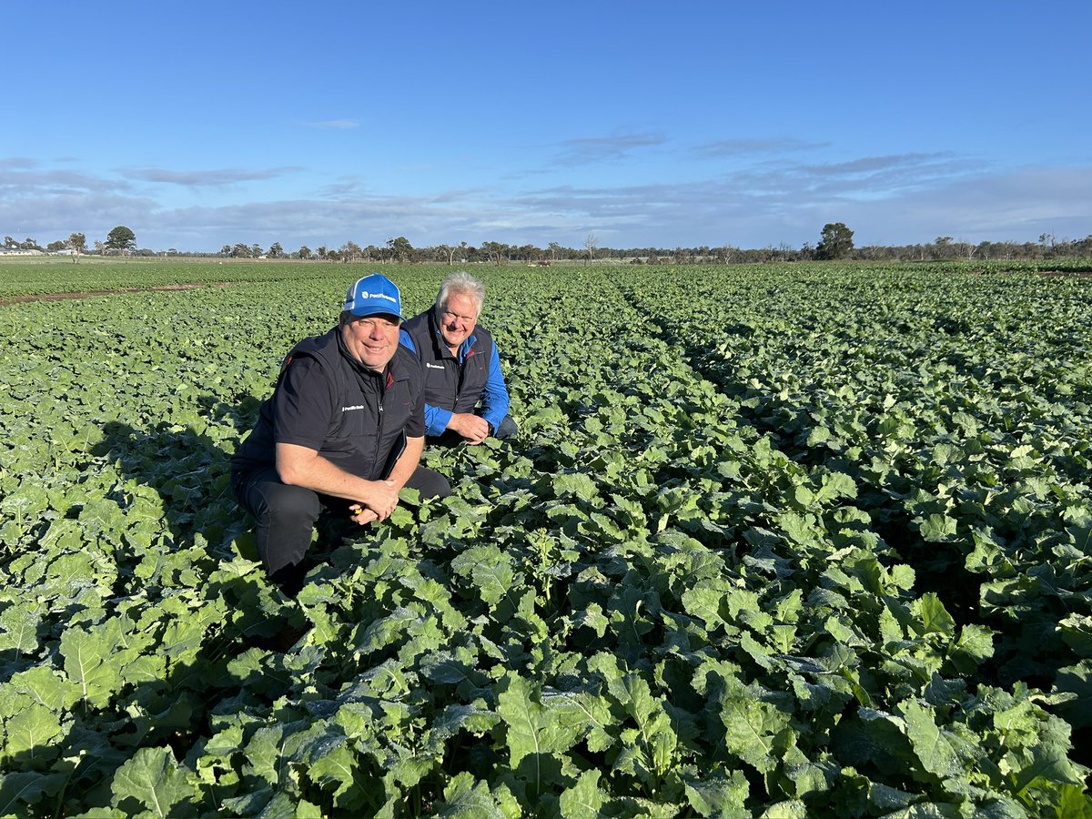 Justin Kudnig tweet media