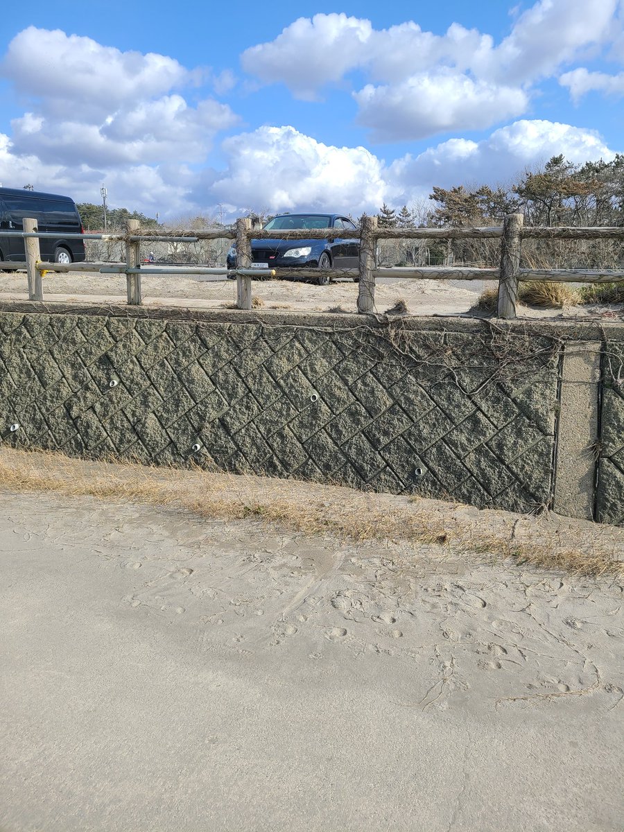 みさーき tweet media