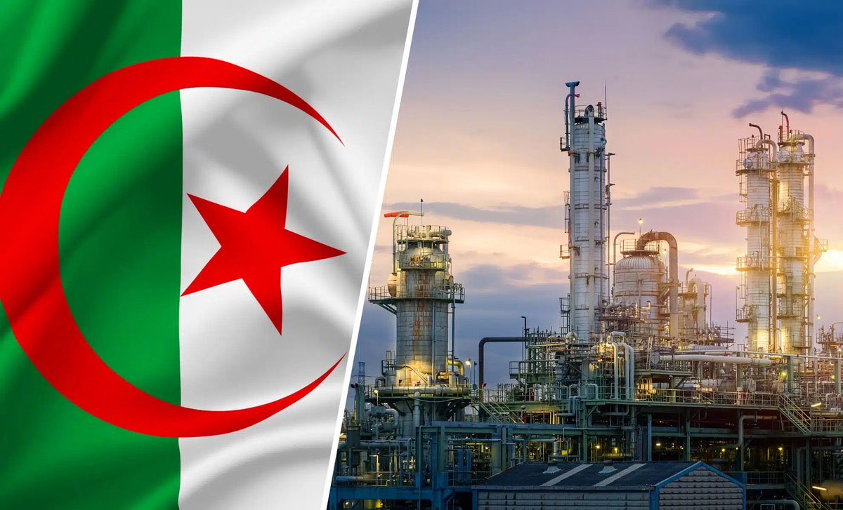 Algeria Project tweet media