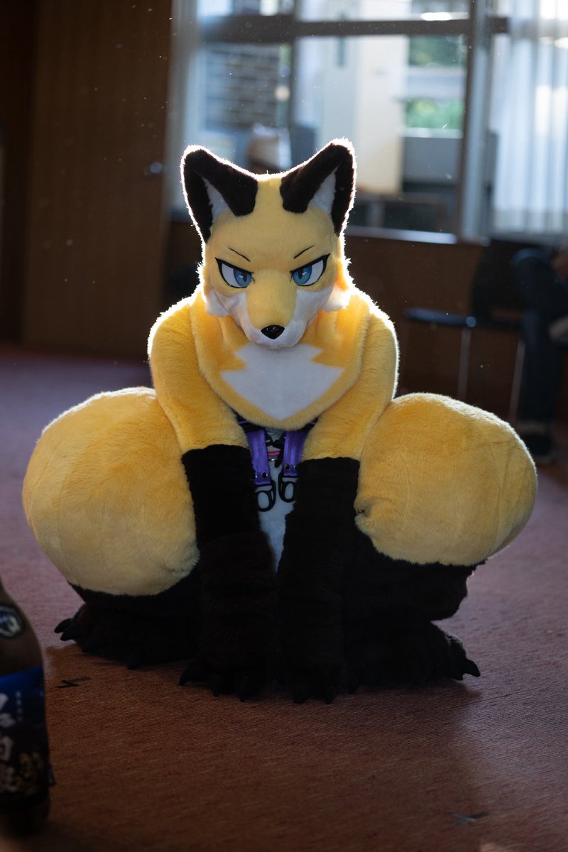 Thor_5858's tweet photo. ๅพ
ๆฉไธญ๐ฆ
#FoxEveryday https://t.co/64u5Abe1id