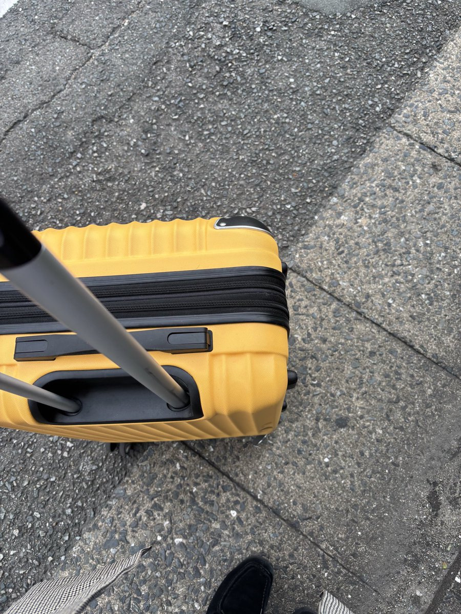 まっひーだよ tweet media