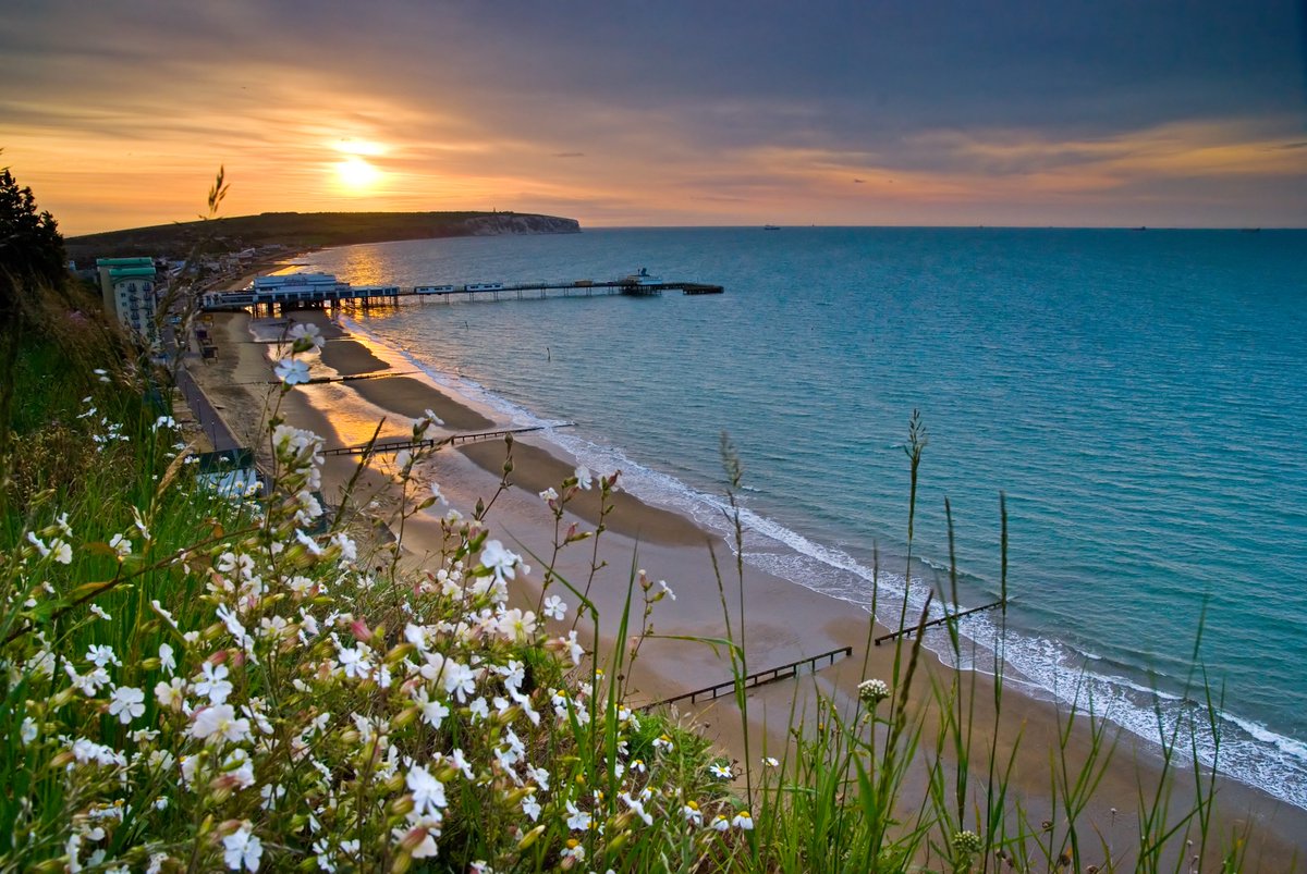 Red Funnel (IoW Ferries) tweet media