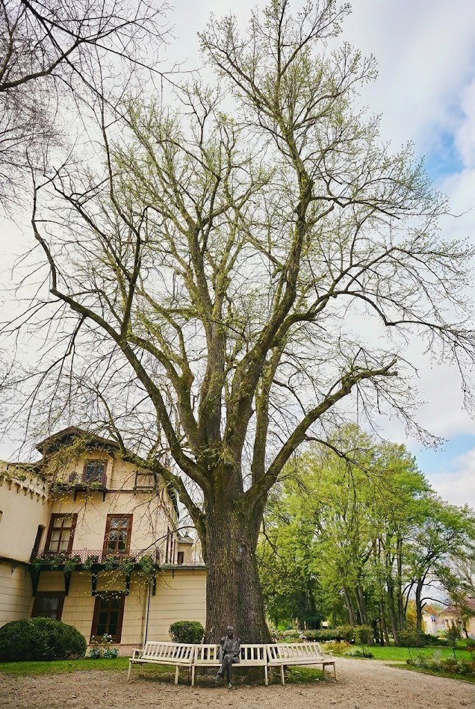 Podkarpackie tweet media