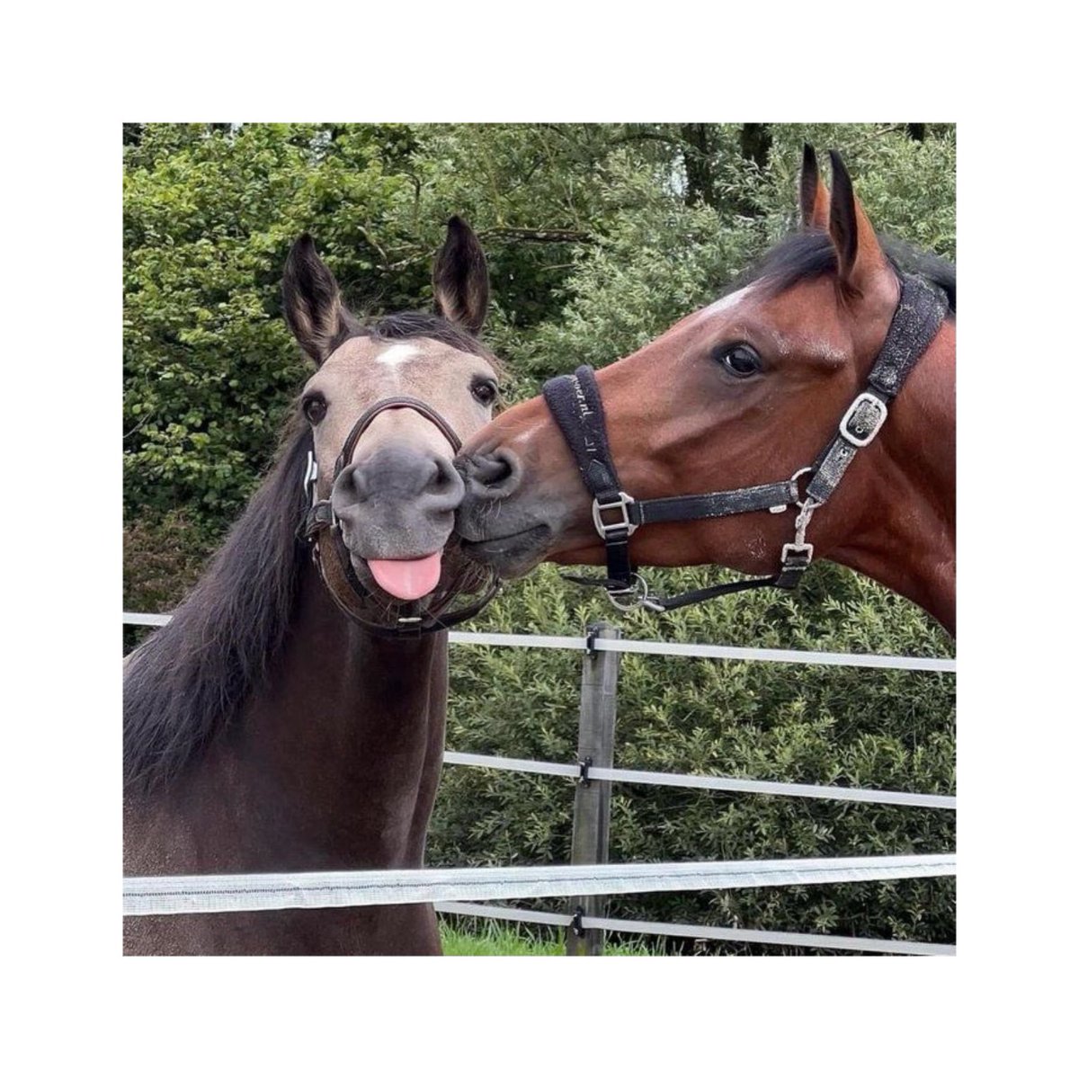 台中RB和小U tweet media