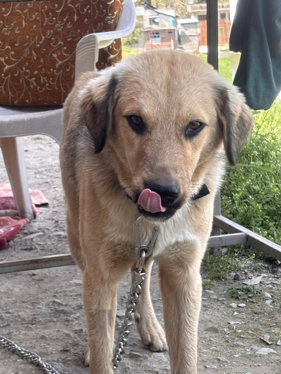 Siddharth Bakaria tweet media