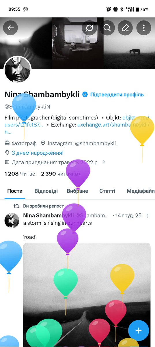 Nina Shambambykli tweet media