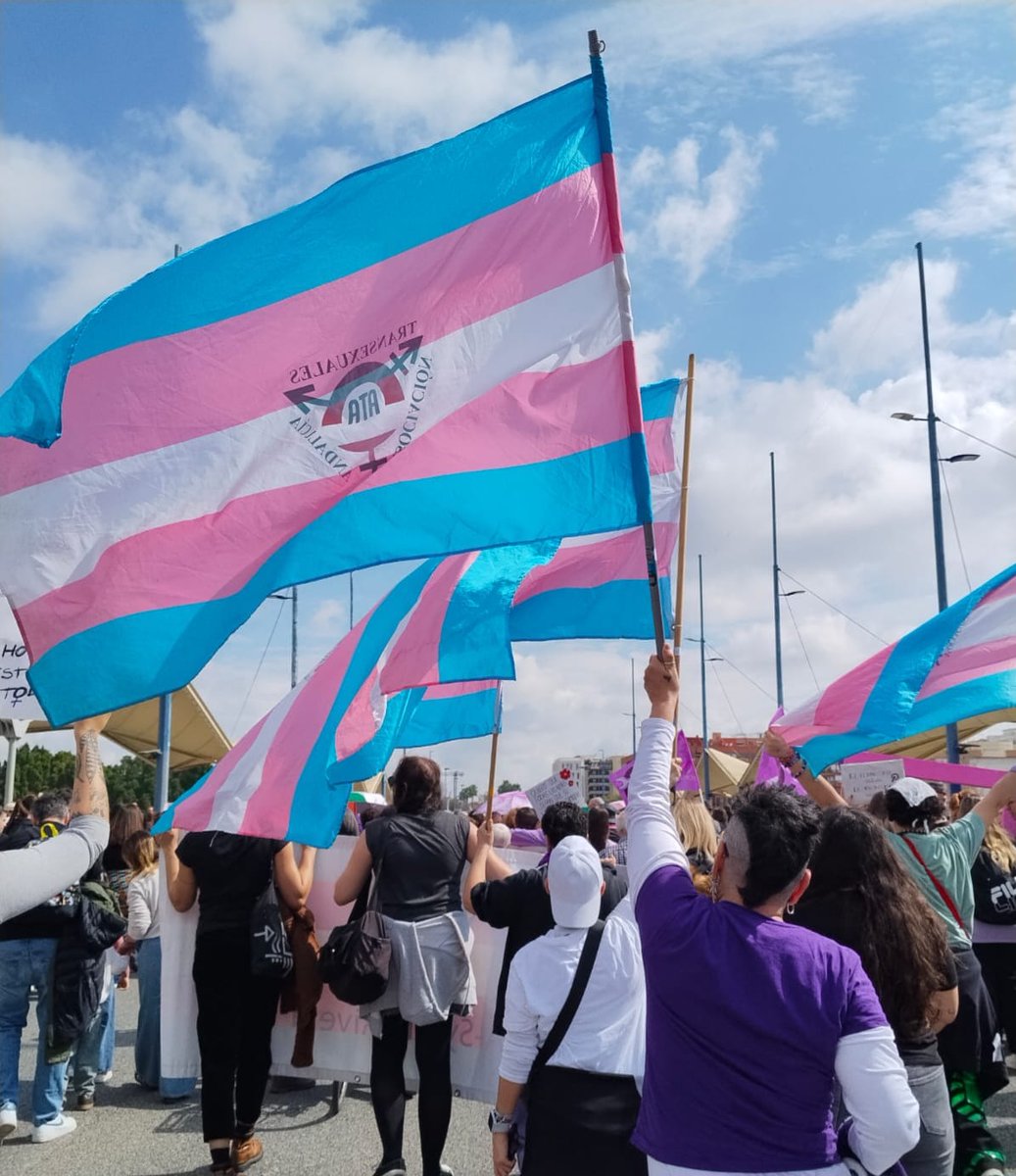 ATA-Sylvia Rivera 🏳️‍⚧️ #HayLeyTrans tweet media