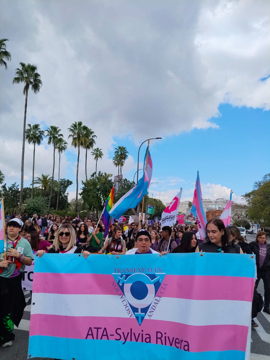 ATA-Sylvia Rivera 🏳️‍⚧️ #HayLeyTrans tweet media