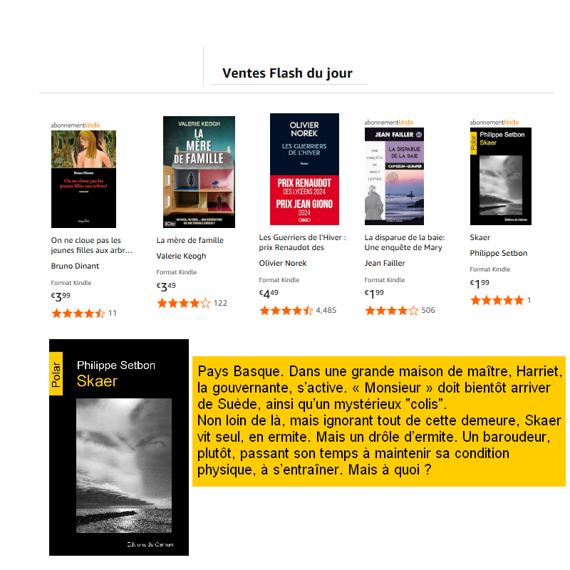 editionsducaima's tweet photo. https://t.co/4PbrTt6E51 Vente flash sur Amazon aujourd'hui, profitez-en : découvrez "Skaer", un sacré polar de Philippe Setbon pour 1,99 € (jusqu'à ce soir seulement, format liseuse) https://t.co/BywVptJxw8