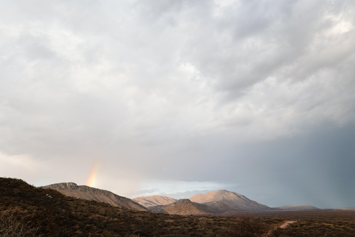 N/a'an ku sê Group of Companies tweet media