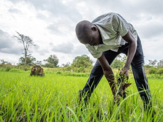 Kasherltd's tweet photo. Sustainability Starts With Mindset

Sustainability is not a department; it’s a mindset.
Whether in agriculture,  careers or businesses, long-term thinking shapes smarter investments, stronger reputations, and meaningful impact.

What you build today should still matter tomorrow. https://t.co/b8EpYKJ5qE