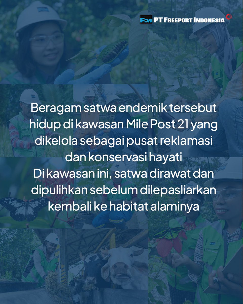 Freeport Indonesia tweet media