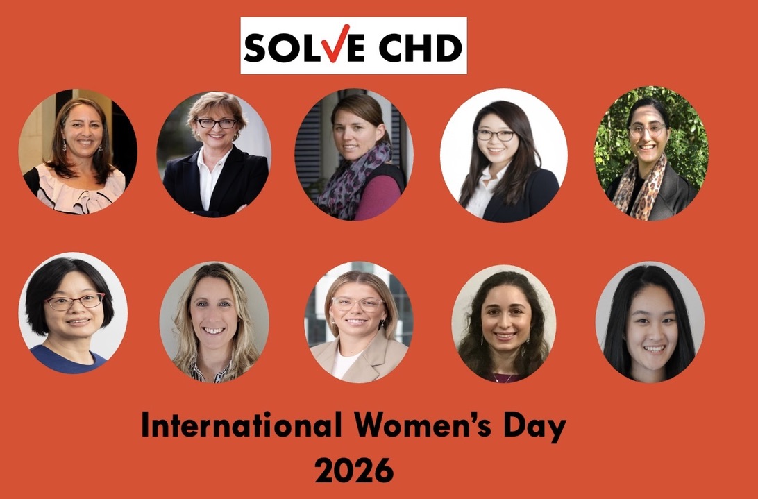 ❤️SOLVECHD❤️ tweet media