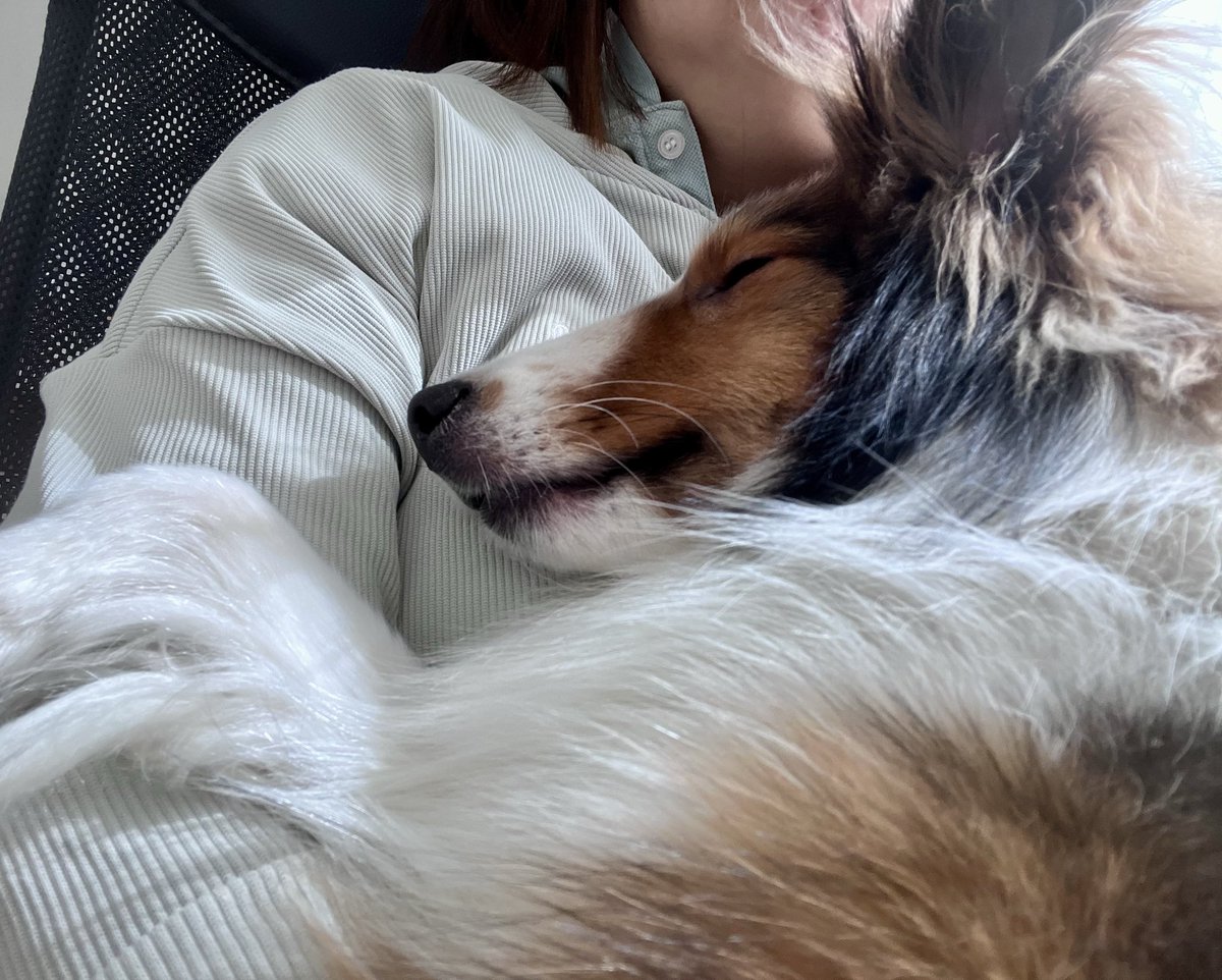 たくみん tweet media