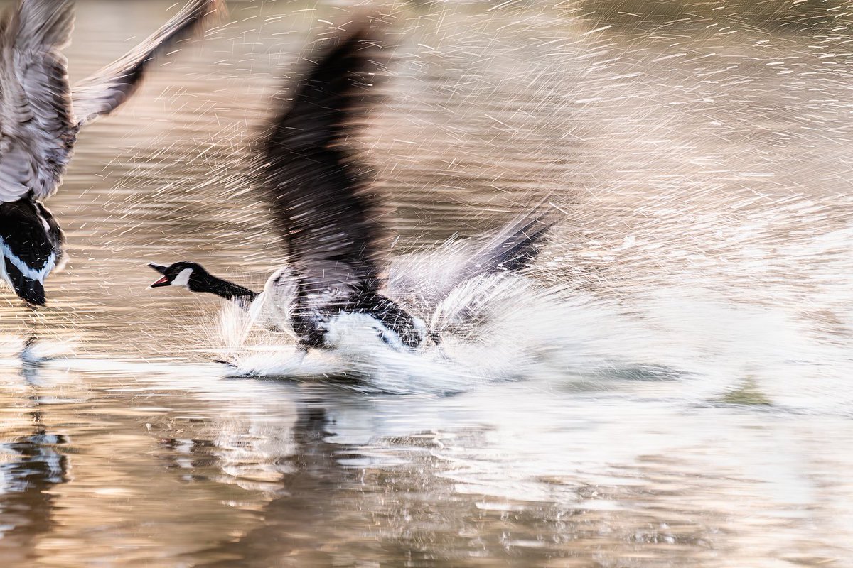 Steve Palmer tweet media