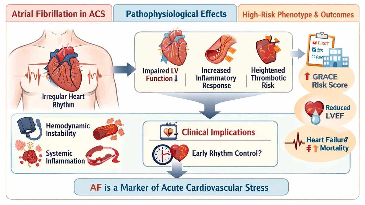 Cardiovascular Medicine tweet media
