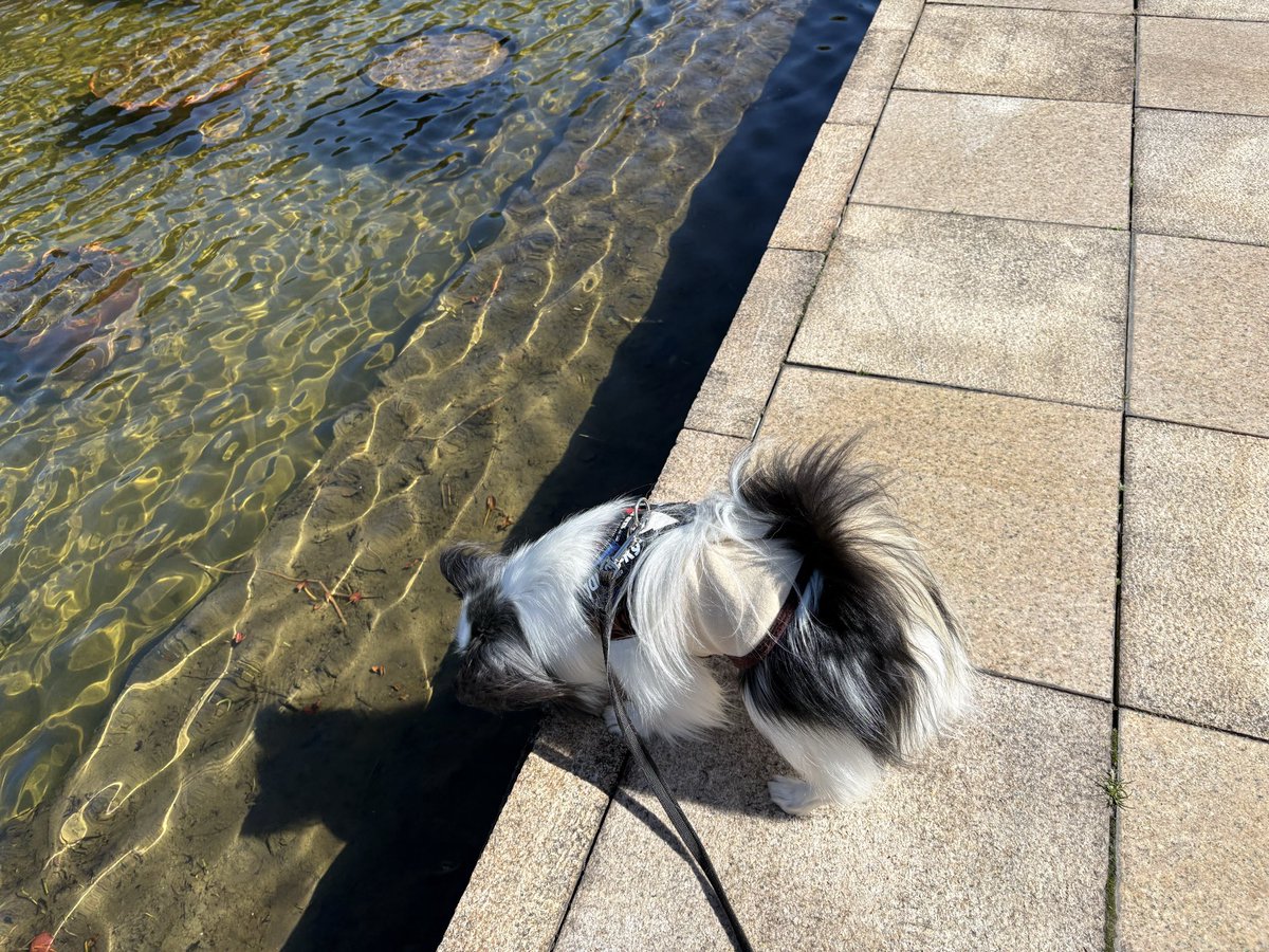 とりあえず覗くタイプ