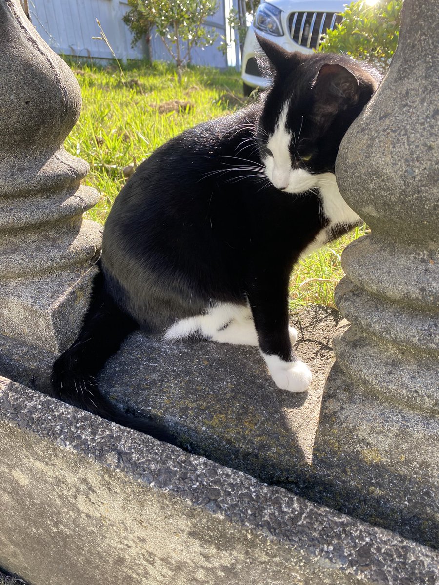 只有在我们进到创伤里的时候，才会发现自己的真荣耀。一个人的创伤在哪里，他的天才也在那里。1.你的敌人要杀死你，才会在你最“强”的地方伤害你。2.你要从伤痛破碎中去发掘你的优势，你造福人群的基础。上帝要在你生命里做成的，比你自己计划更美好奇妙。 Wild At Heart -John Elderdge