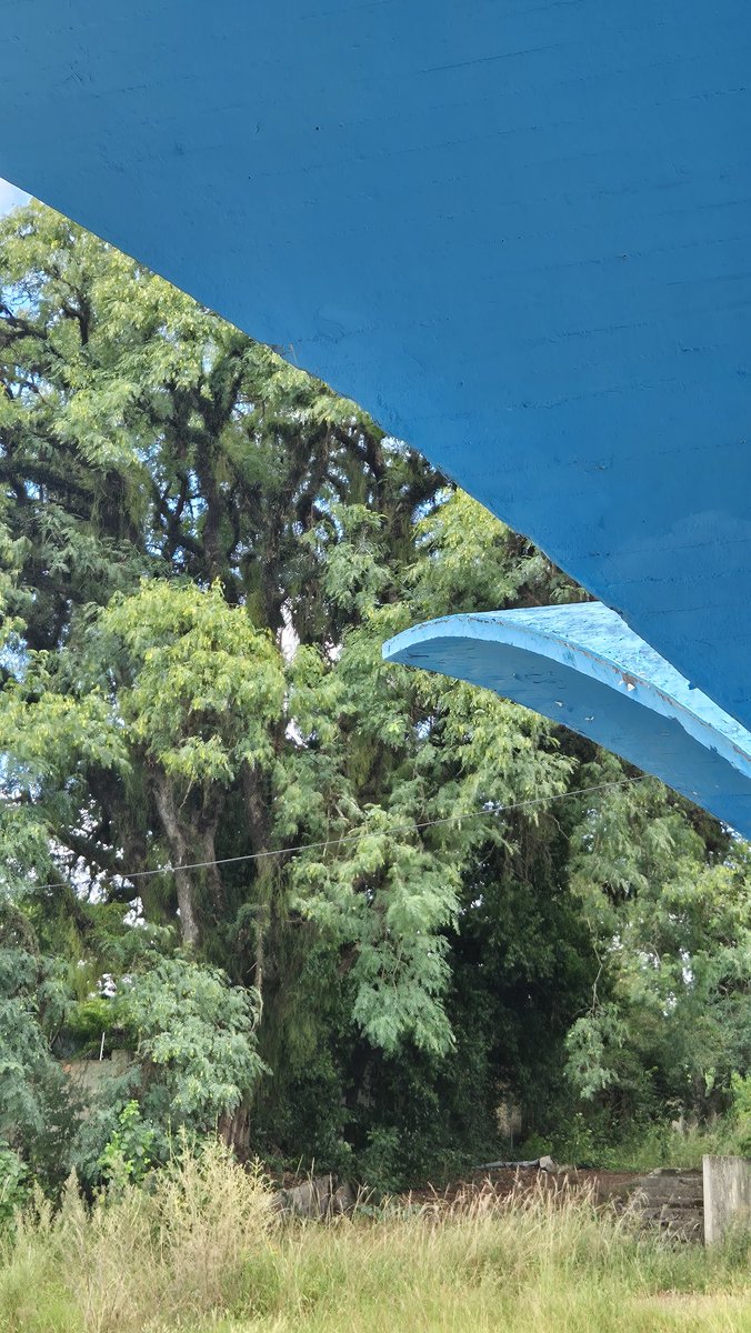 Márcio Neves tweet media