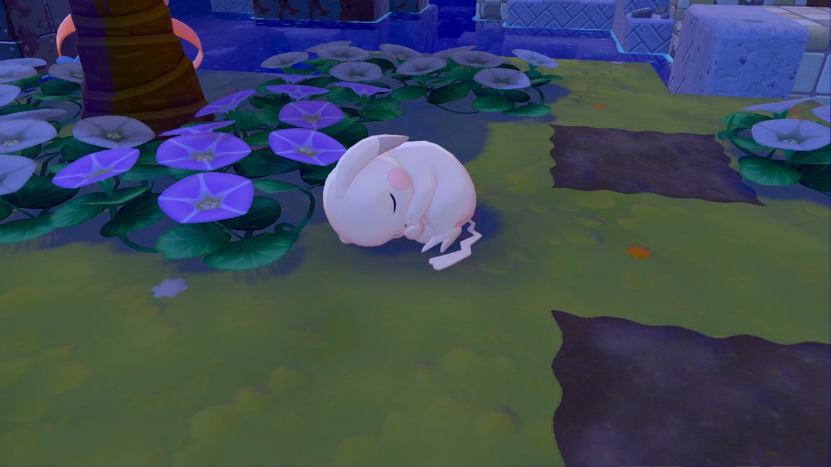 youkey35200504's tweet photo. うみべのまち復興完了！
こうやと同じく、ポケセンの修理がクリアかと思っていあと回しにしたので、そっちは明日開業
うすちゅうのすみかがなかったので、拠点に招いた。決して下心などない
あと、図鑑埋めに生息地つくってたらフシギバナでた
#ぽこあぽけもん https://t.co/a4X0DdScQ2