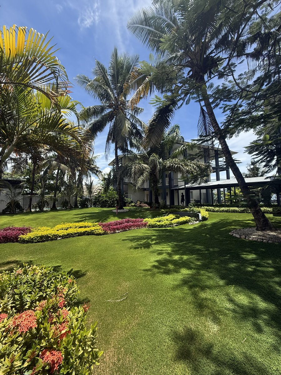 will britt tweet media