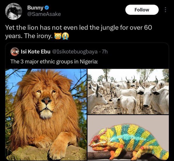 Harry Da Diegot tweet media