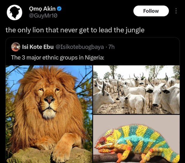 Harry Da Diegot tweet media