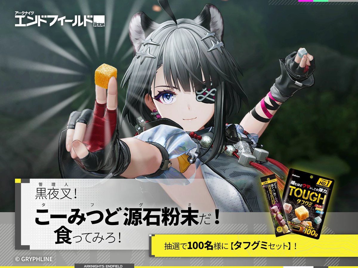 アークナイツ：エンドフィールド tweet media