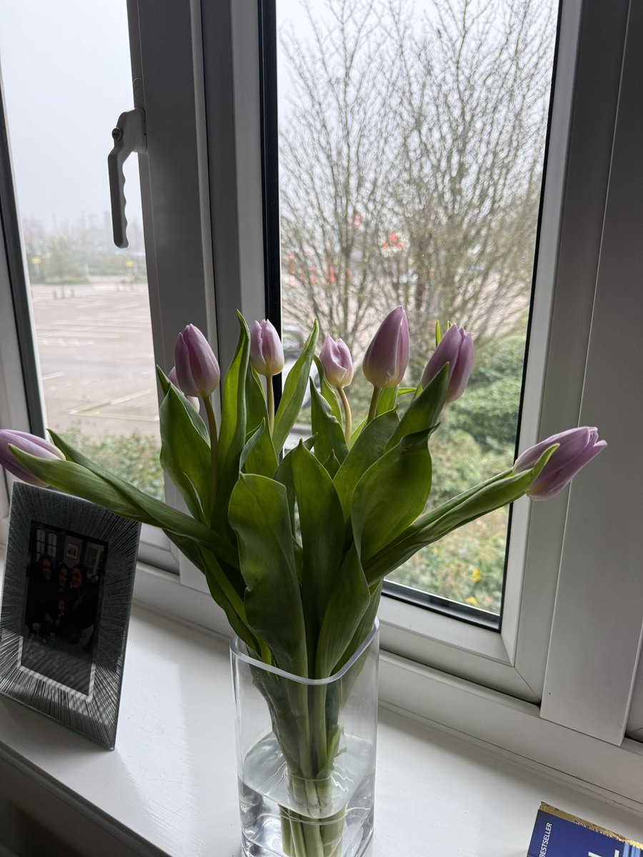 ells🦋 tweet media