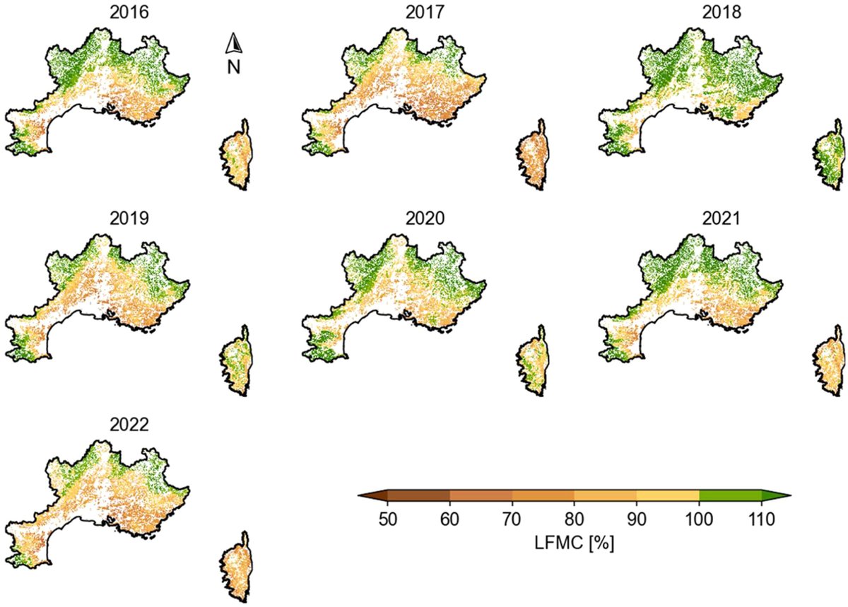 Xiangzhuo Liu tweet media