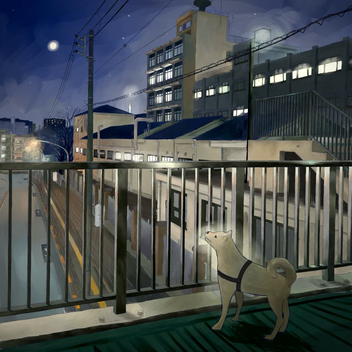 東京大学百五十年史編纂室 tweet media