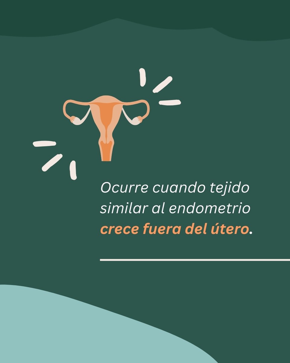 ClinicaGinefiv's tweet photo. En el #DíaMundialdelaEndometriosis queremos recordar que la Endometriosis puede afectar a la fertilidad, pero no significa renunciar a la maternidad🤰🏻

Un diagnóstico adecuado y un enfoque personalizado pueden marcar la diferencia👩🏻‍⚕️💚

#Endometriosis #Fertilidad #RHA  #Ginefiv https://t.co/2ofMgS0unT