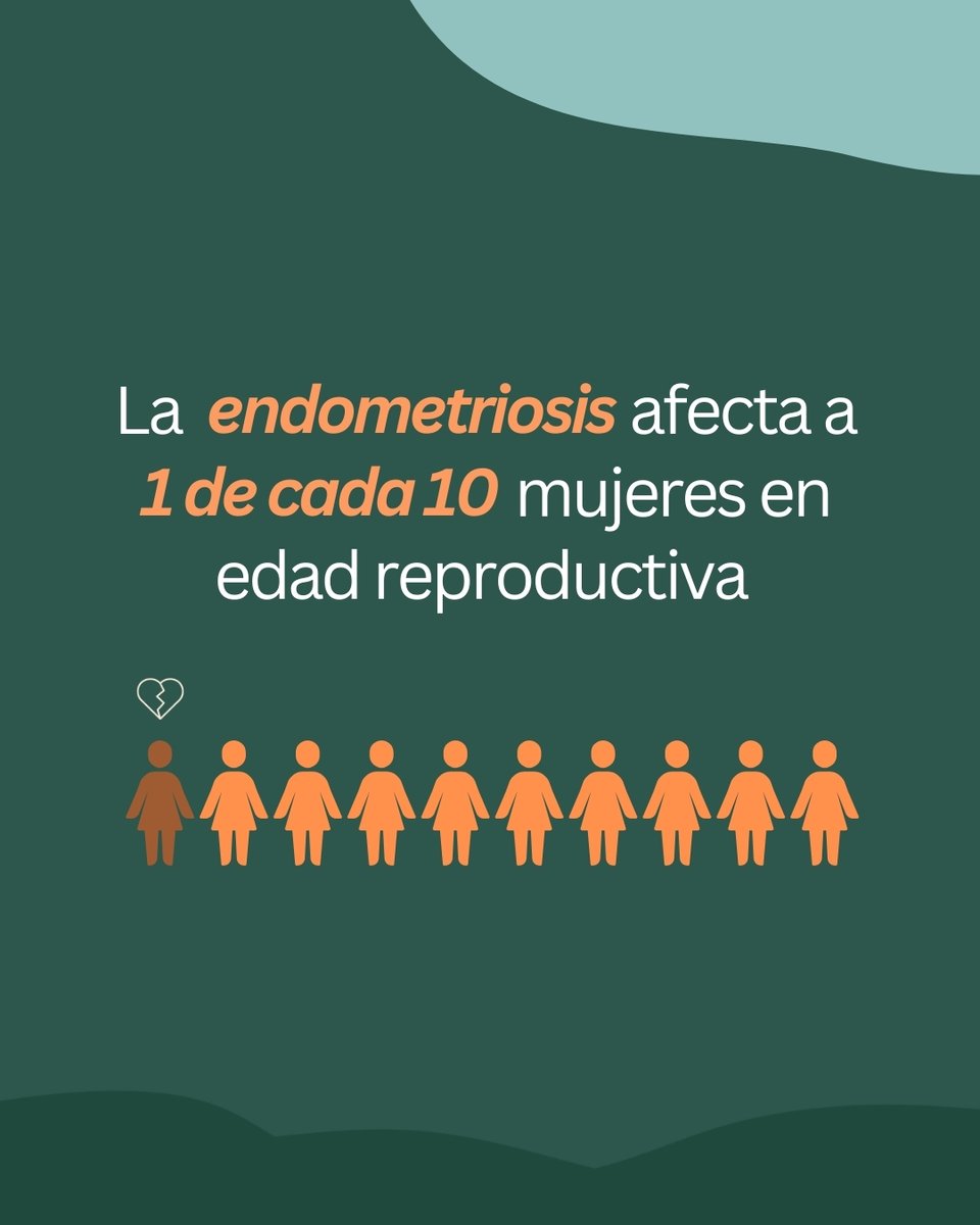 ClinicaGinefiv's tweet photo. En el #DíaMundialdelaEndometriosis queremos recordar que la Endometriosis puede afectar a la fertilidad, pero no significa renunciar a la maternidad🤰🏻

Un diagnóstico adecuado y un enfoque personalizado pueden marcar la diferencia👩🏻‍⚕️💚

#Endometriosis #Fertilidad #RHA  #Ginefiv https://t.co/2ofMgS0unT