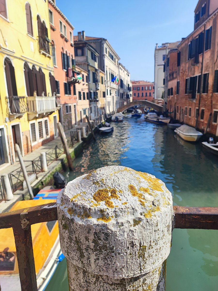 monicacesarato's tweet photo. “If you want something you never had, you have to do something you’ve never done.”
– Thomas Jefferson
Have a great Monday, from #Venice!
#aphotoofveniceaday #askmeaboutvenice #mccontentlab #veniceconsultant https://t.co/jE2GlefHuB