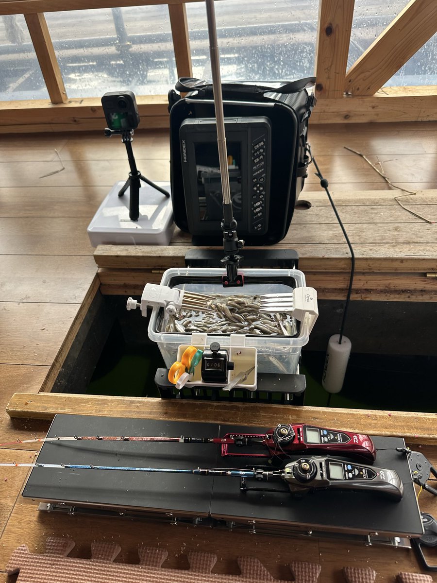 h4films's tweet photo. ワカサギ釣りをどーしてもしたくて花山湖のドーム船へ🎣

E-3で106匹　隣の友達は189匹で
ワカサギ納め。

ずっとそこにしか反応なかったから
60くらいの仕掛けで狙い撃ちの方が釣れるらしい。

また勉強になったワカサギ釣りでした。

#ワカサギ釣り
#花山湖 https://t.co/PglITsrceo