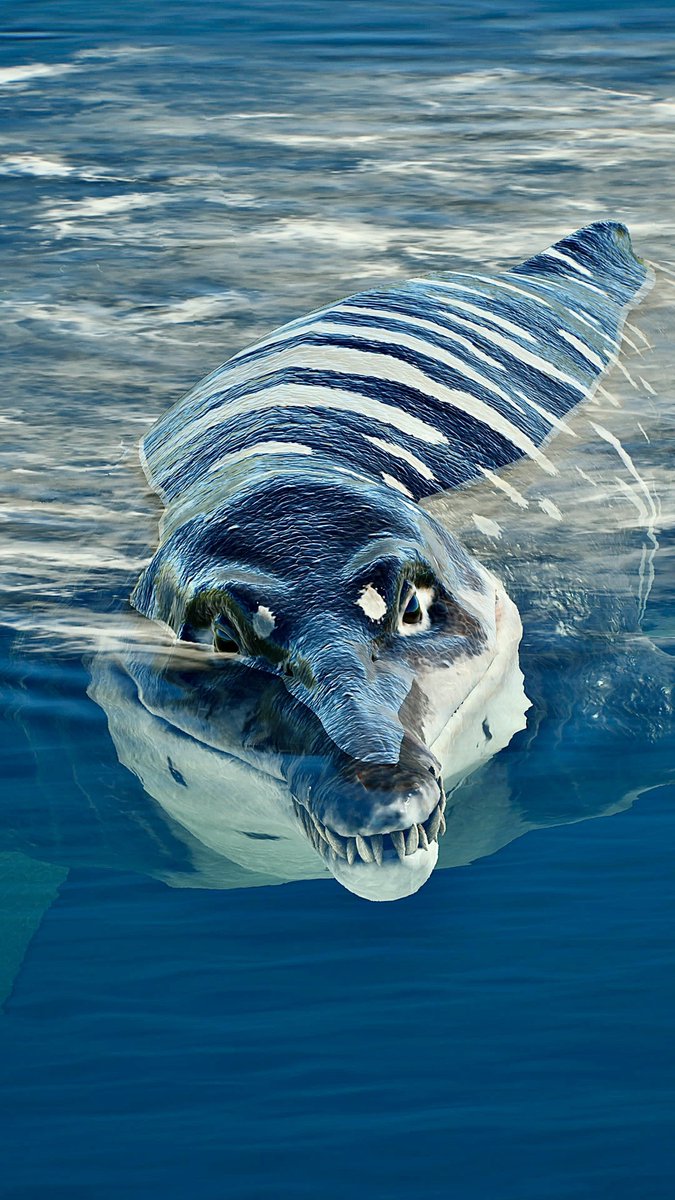 📸－FIRST－📸 tweet media