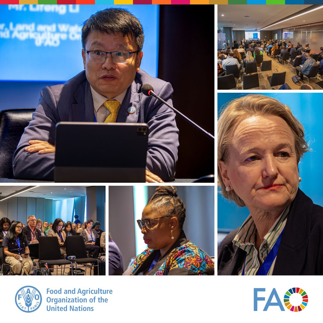 FAO and the SDGs tweet media