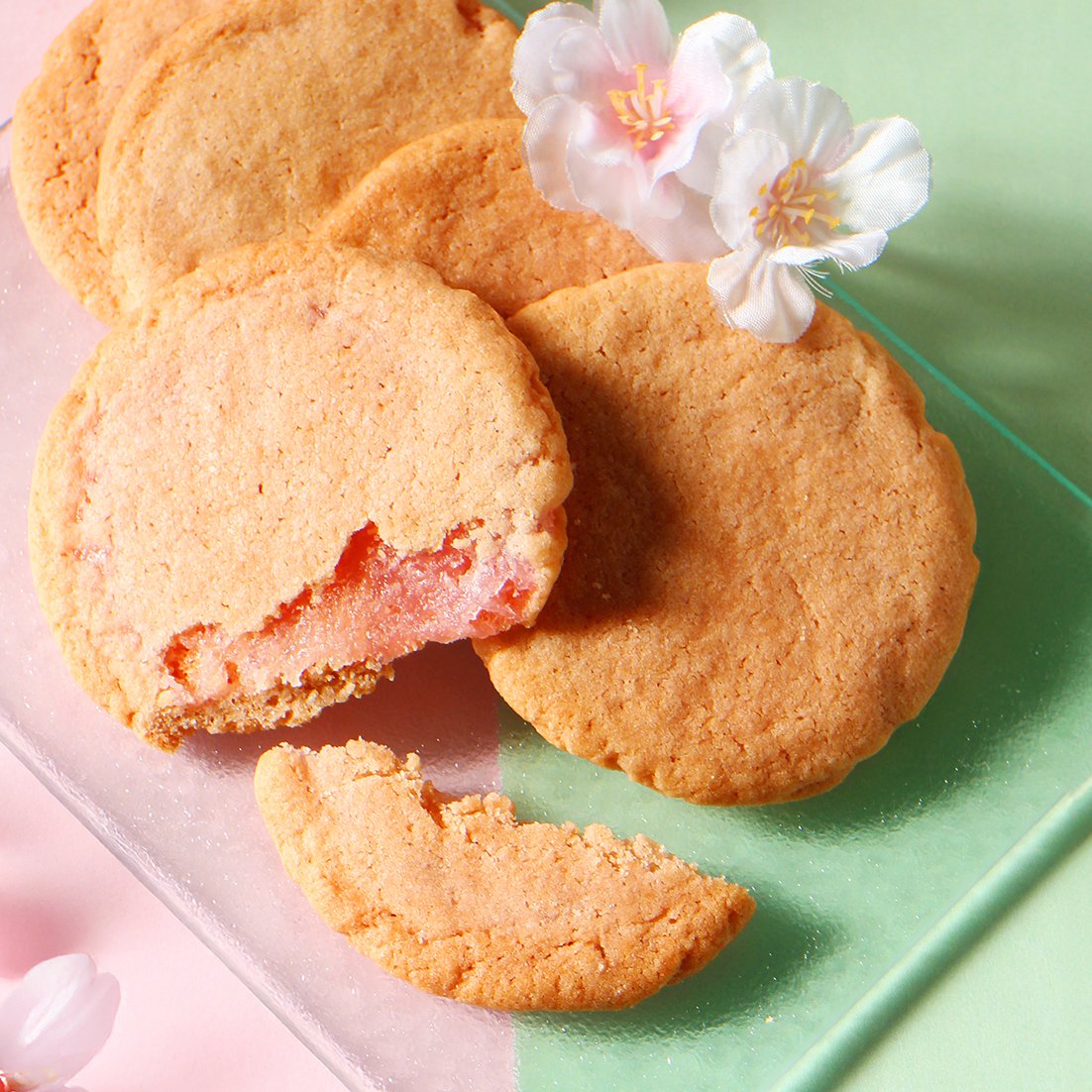 新商品のお知らせ🌸／ 雅正庵にて、期間限定で 『桜ミルクもちサブレ