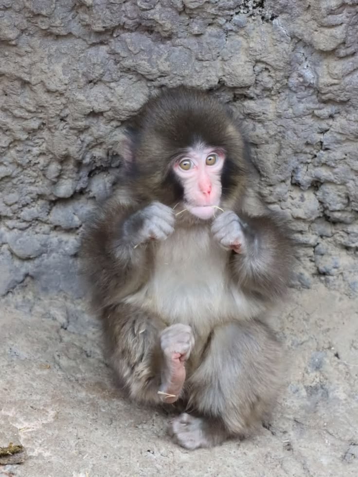 Beautiful punch ❤️