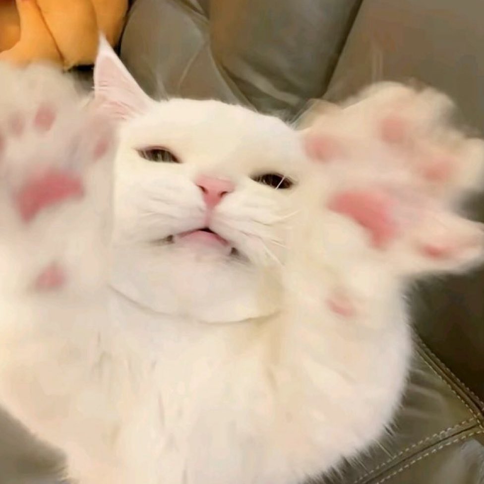 muji ۶ৎ tweet media