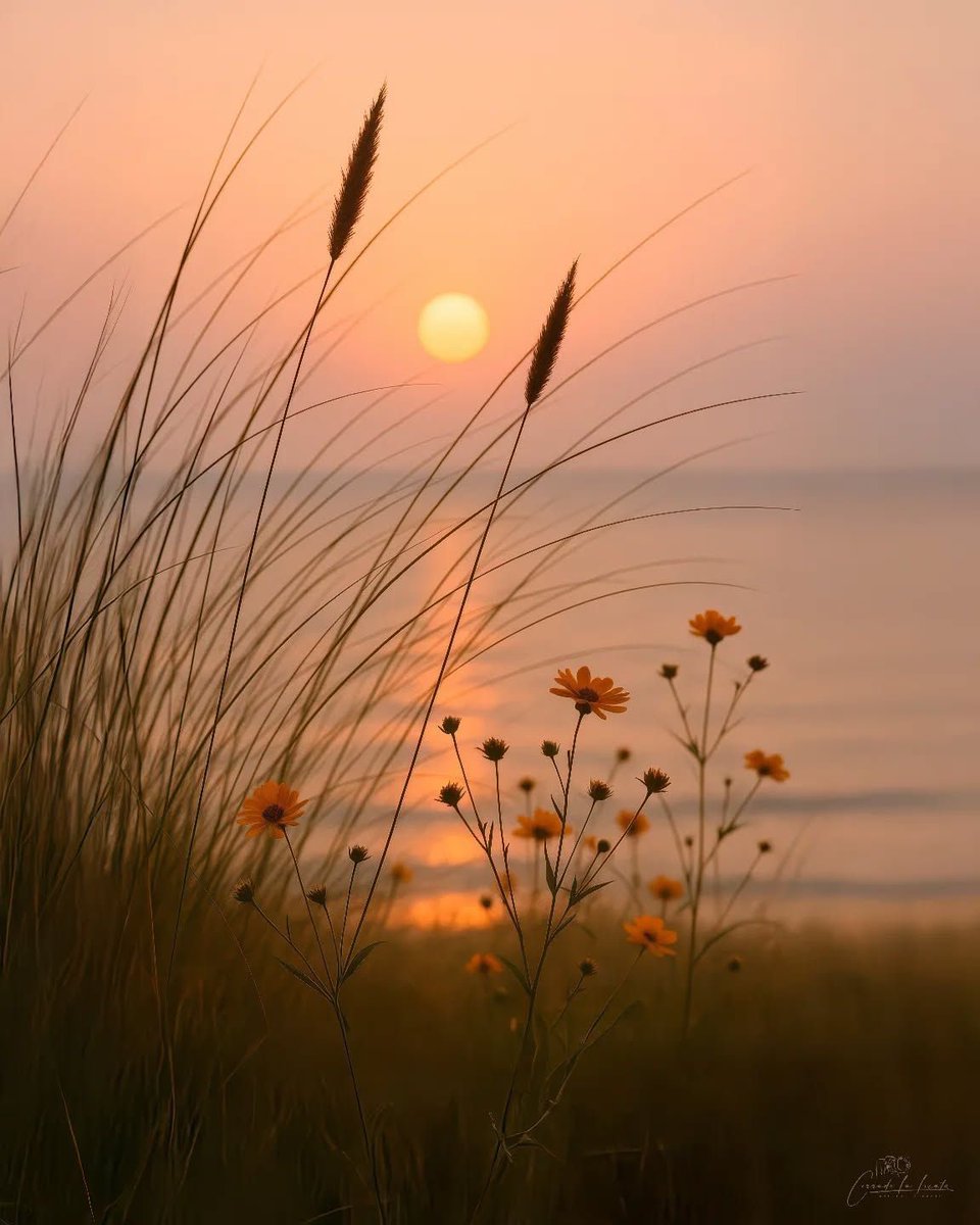 "Bir sorunu hiçbir şekilde çözemiyosanız, o artık çözülmesi gereken bir sorun değil, kabul edilmesi gereken bir gerçektir." 

O kadar doğru ki!