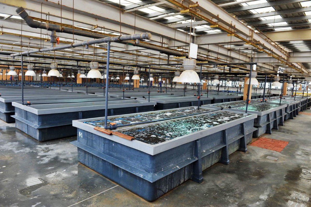 وكالة الأنباء العمانية tweet media